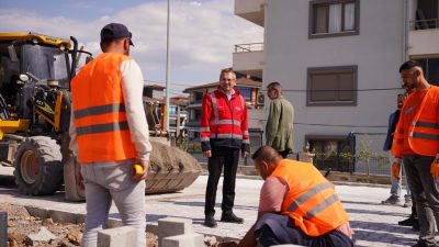 Ayvalık Belediye Başkanı Mesut Ergin, 150 Evler Mahallesi, Güzel Sanatlar