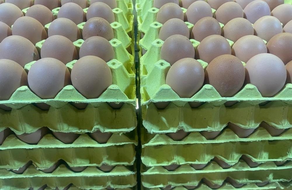 Yumurta fiyatları “mayıs çukuru” yaklaşınca düşüşe geçti Yumurta Üreticiler Merkez Birliği (YUM-BİR) Başkanı İbrahim Afyon, yumurta fiyatlarının