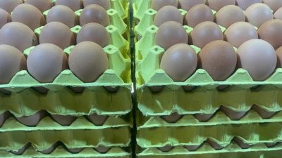 Yumurta Üreticiler Merkez Birliği (YUM-BİR) Başkanı İbrahim Afyon, yumurta fiyatlarının
