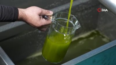 Kuzey Ege Zeytinyağı Lisanslı Depoculuk projesi kapsamında önemli bir toplantı
