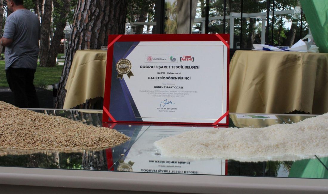 Gönen Baldo Pirinci artık tescilli Gönen ilçesinde üretilen ve Türkiye genelinde bilinen Gönen Baldo Pirinci,