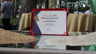 Gönen ilçesinde üretilen ve Türkiye genelinde bilinen Gönen Baldo Pirinci,