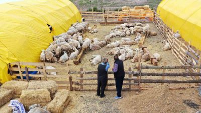  Türkiye’nin dört bir yanından kurban satışı yapmak için Keçiören’e gelen