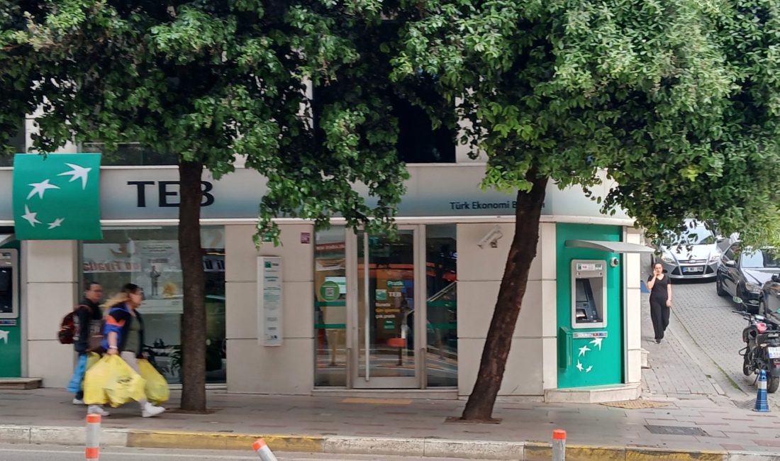 Erdem ÖZCAN İSMET İnönü Caddesi Odaman Otel önündeki bir ağaç