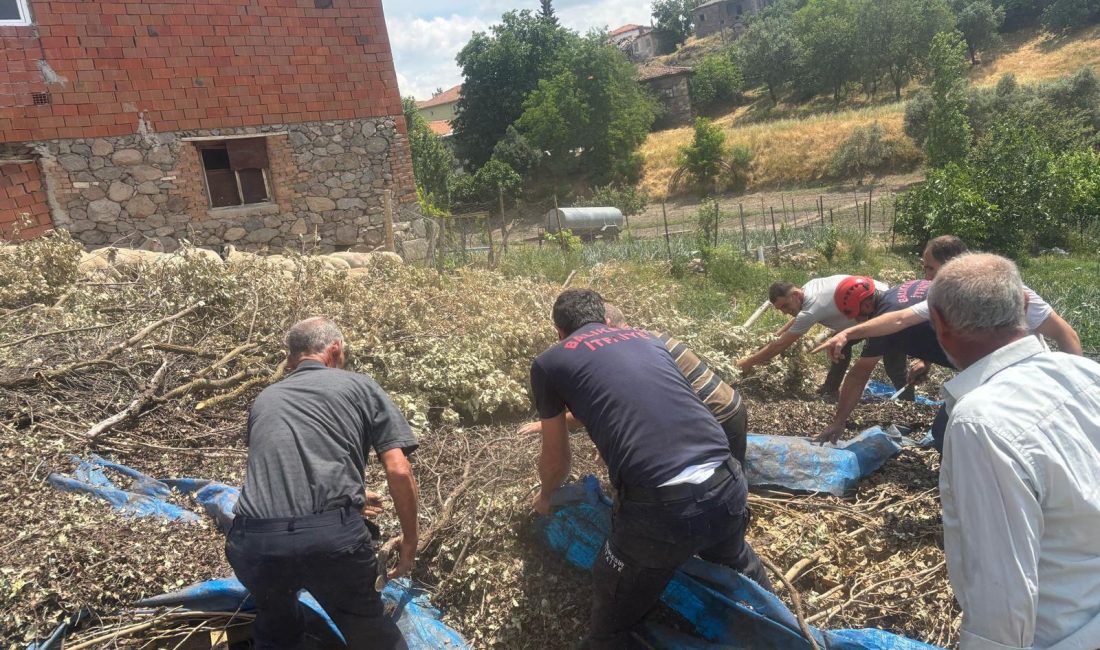Sındırgı’da koyun damı çöktü, 2 koyun telef oldu 140 küçükbaş hayvan bulunan çardak dam çöktü. Çöken çardak hayvan