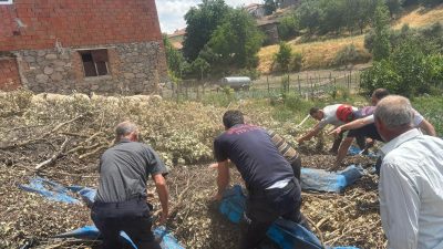 140 küçükbaş hayvan bulunan çardak dam çöktü. Çöken çardak hayvan