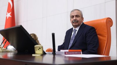 Türkiye Büyük Millet Meclisi (TBMM) Başkanvekili ve DEM Parti İstanbul