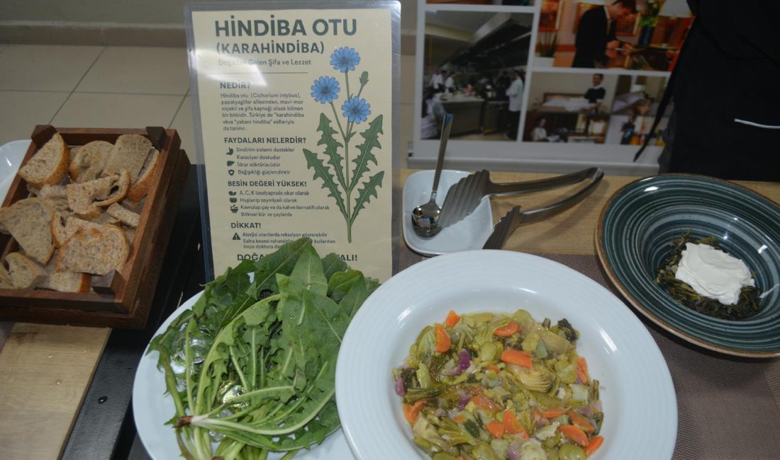 Ayvalık’ta geleceğin gastronomi şeflerinden ot şenliği Cunda Turizm Mesleki ve Teknik Anadolu Lisesi öğrencileri tarafından ilçenin