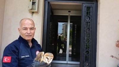 Burhaniye’de balkon pervazına çarparak yaralanan bir baykuş, itfaiye ekiplerinin müdahalesiyle