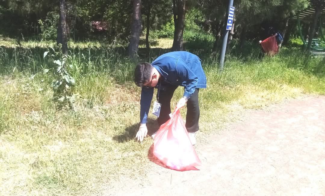Bandırma Onyedi Eylül Üniversitesi öğrencileri, General Balcı Çamlığı’nda çevre temizliği