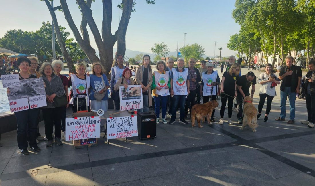 Bandırma’da Tüm Emeklilerin Sendikası’ndan ‘Katliam Yasası’na sert tepki Bandırma’da Tüm Emeklilerin Sendikası’ndan ‘Katliam Yasası’na sert tepki Tüm Emeklilerin