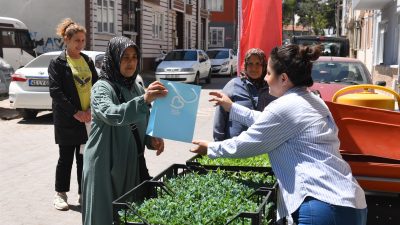 Balıkesir Büyükşehir Belediye Başkanı Ahmet Akın’ın üreticilere desteği sürüyor. Tarımda