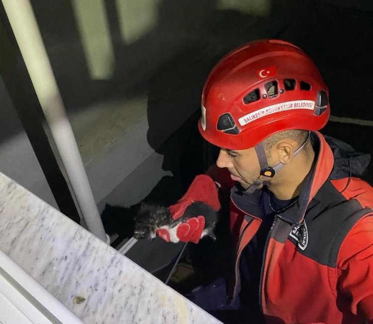 Apartman boşluğuna düşen yavru kedi itfaiye ekiplerince kurtarıldı Gömeç İtfaiye Grup Amirliği ekipleri, Gömeç ilçesi Kemalpaşa Mahallesi Tulumba