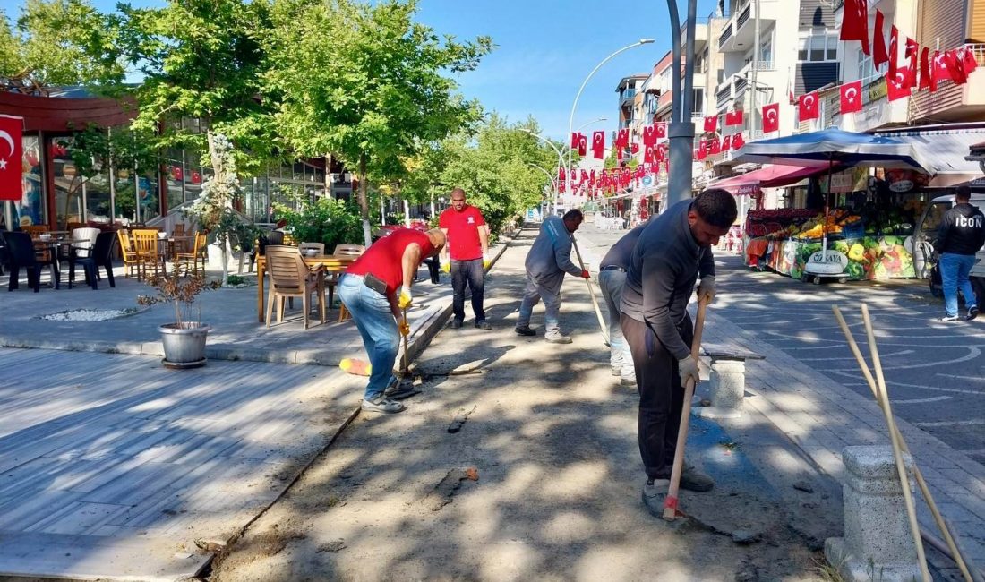 Marmara Adalar Belediyesi, adalar genelinde yol düzenleme, dolgu ve taş