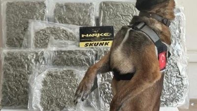 Balıkesir’de narkotik ekipleri tarafından yapılan operasyonda bir yolcu otobüsünde taşınan