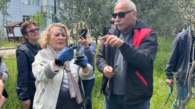 Balıkesir Üniversitesi Edremit Meslek Yüksekokulu’nda düzenlenen “Zeytinde Aşılama” konulu eğitim
