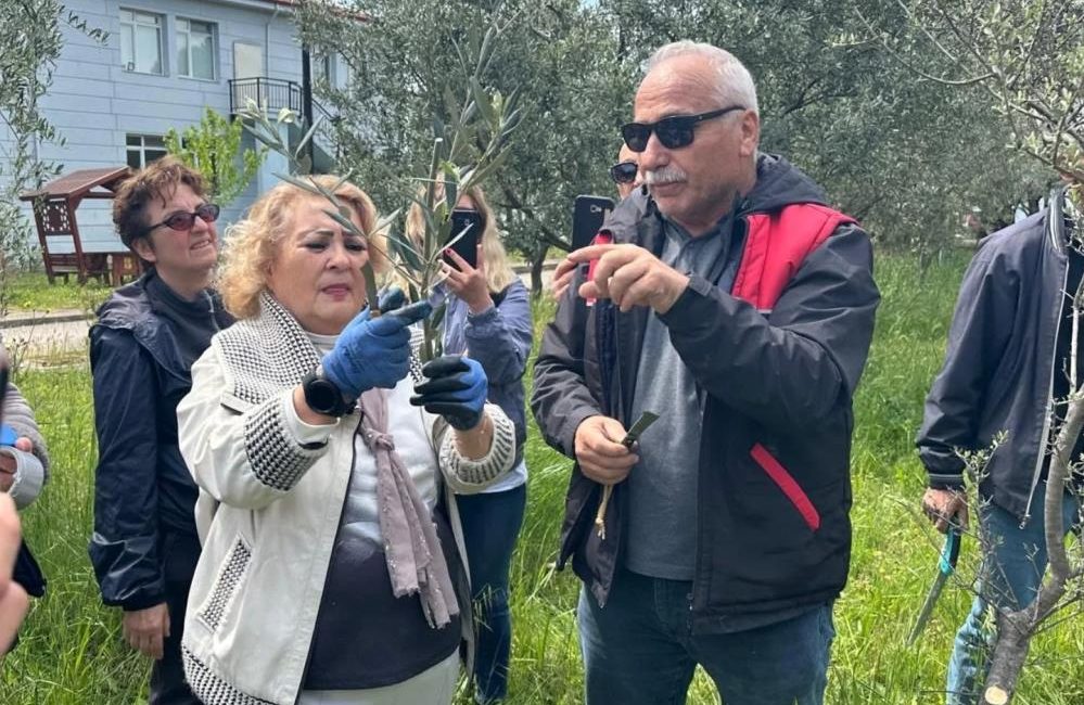 Edremit MYO’da zeytin aşılama eğitimi Balıkesir Üniversitesi Edremit Meslek Yüksekokulu’nda düzenlenen “Zeytinde Aşılama” konulu eğitim