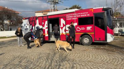Balıkesir’de ilçe ilçe dolaşarak sokak hayvanlarına ücretsiz tedavi desteği sağlayan