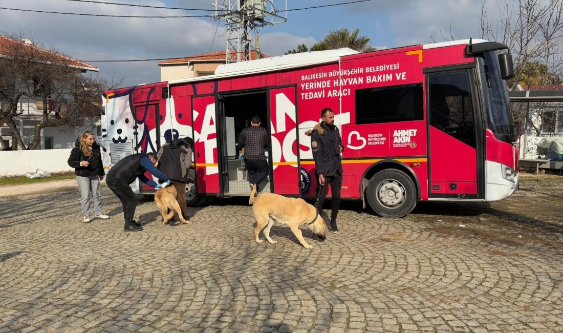 Can Dost’un Mayıs-Haziran takvimi belli oldu Balıkesir’de ilçe ilçe dolaşarak sokak hayvanlarına ücretsiz tedavi desteği sağlayan
