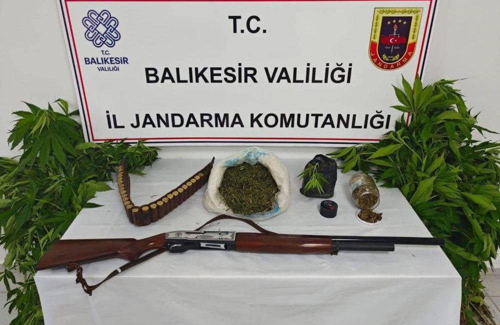 Erdek’te uyuşturucu operasyonu Erdek’te jandarma ekiplerince düzenlenen uyuşturucu operasyonunda 93 kök kenevir bitkisi