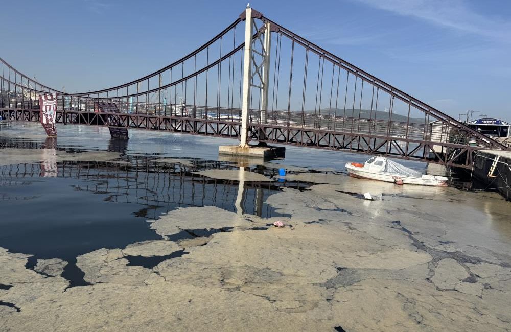 Bandırma ve Gönen sahillerinde müsilaj yüzeye çıktı Bandırma ve Gönen ilçelerinde deniz yüzeyinde müsilaj görüldü. Marmara Denizi’nde