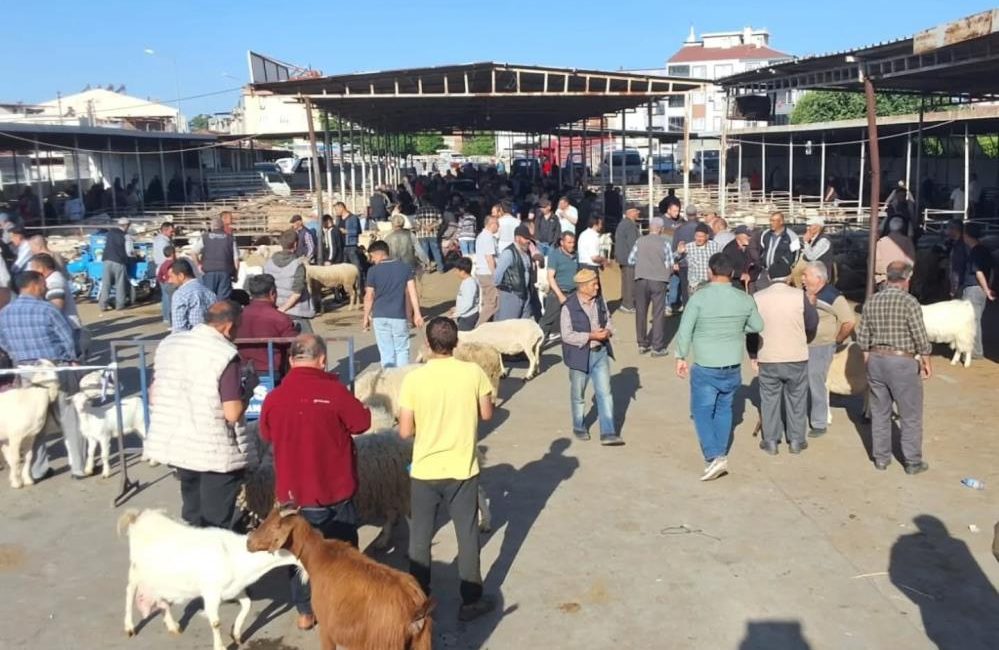 Havran’da Kurban Bayramı öncesi hayvan pazarı denetlendi Havran’da, yaklaşan Kurban Bayramı öncesi canlı hayvan pazarında denetim ve