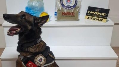 Balıkesir’de narkotik ekipleri tarafından yürütülen operasyonda 803 gram toz esrar