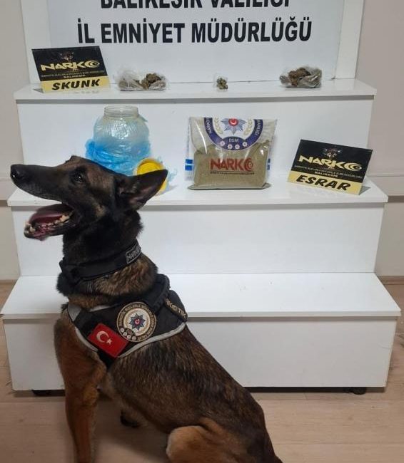 Balıkesir’de uyuşturucu operasyonu Balıkesir’de narkotik ekipleri tarafından yürütülen operasyonda 803 gram toz esrar