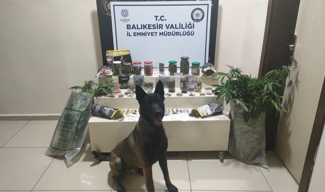 Bandırma’da uyuşturucu operasyonu Bandırma’da gerçekleştirilen uyuşturucu operasyonunda çeşitli tür ve miktarda uyuşturucu madde