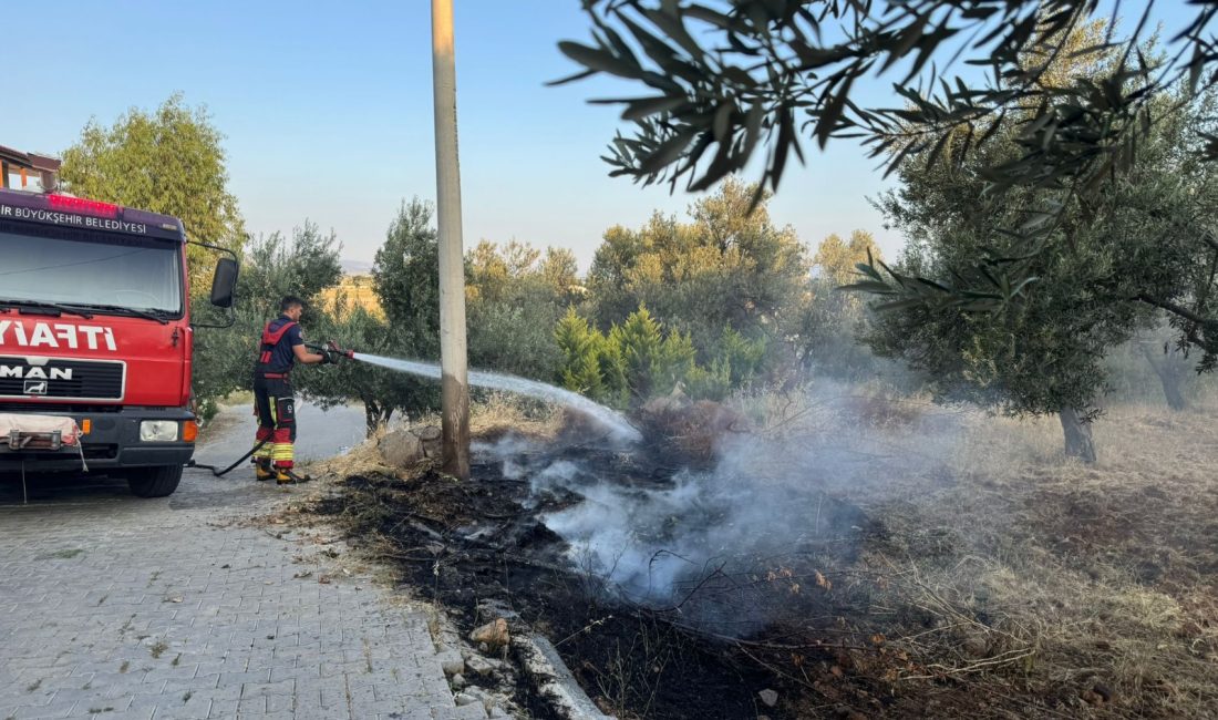 Bandırma ve Erdek’te çıkan yangınlar kısa sürede kontrol altına alındı Balıkesir Büyükşehir Belediyesi İtfaiye Daire Başkanlığı, Kurban Bayramı boyunca il
