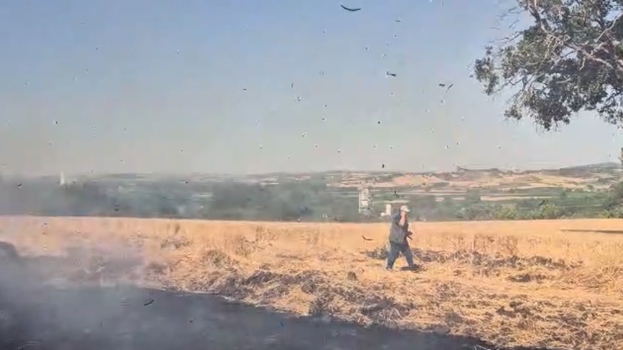 Buğday tarlasında yangın Balıklıdere Mahallesi’nde buğday ekili arazide çıkan yangına itfaiye ekipleri tarafından