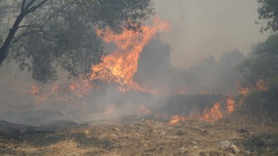 Eminkuyu mevkiinde çöplük alanda çıkan yangın, şiddetli poyraz rüzgarının etkisiyle