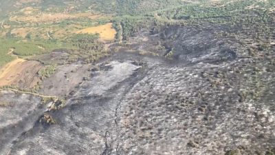 Kepsut’ta çıkan orman yangınları, dünden beri karadan ve havadan etkin