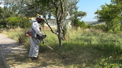 Bandırma Belediyesi ile Büyükşehir Belediyesi ekipleri, çevre sağlığı ve peyzaj
