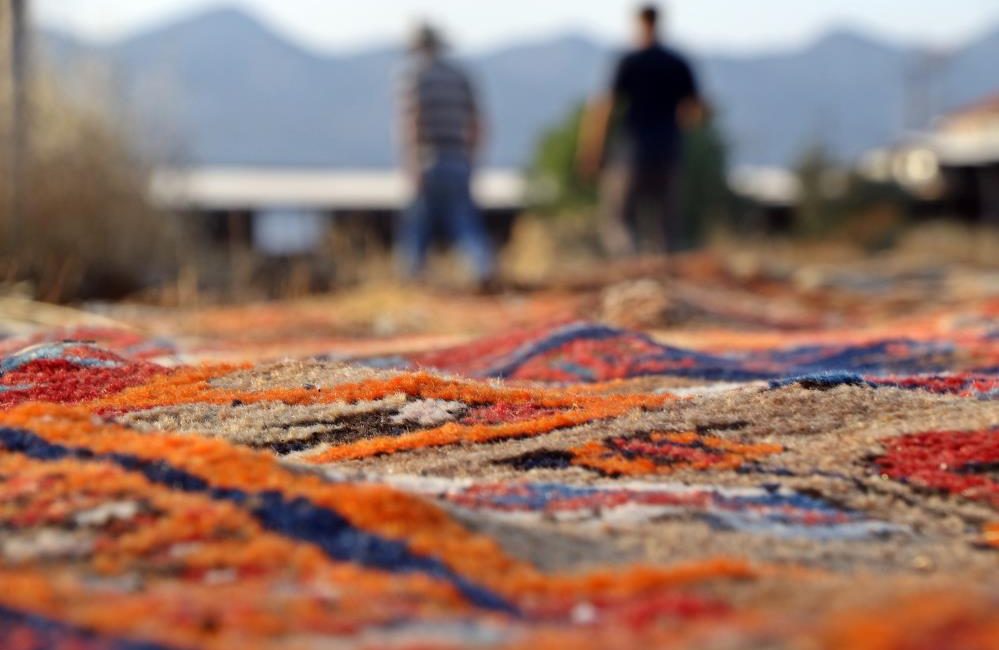 Tarlalarda milyonluk halı nöbeti başladı Türkiye’nin dört bir yanından ve yurt dışından gelen 15 bine