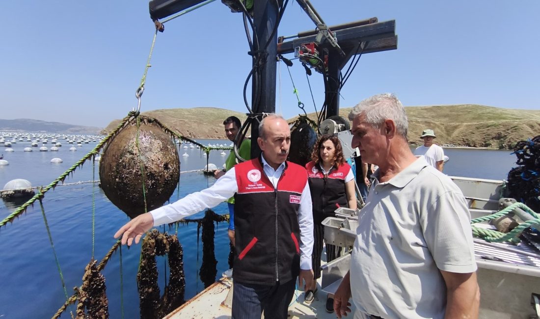 Erdek Çakıl’da Midye üretimi hız kazandı Balıkesir İl Müdürü Dr. Hüseyin Düzgün, Erdek’in Çakıl Mahallesi’nde katıldığı