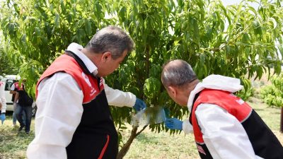 Balıkesir İl Tarım ve Orman Müdürlüğü, tarım ürünlerine zarar veren