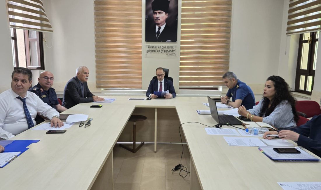 Bandırma’da sahipsiz canlara ortak çözüm arayışı Bandırma’da sahipsiz hayvanlara yönelik mevcut çalışmalar ve gelecekte atılacak adımlar,