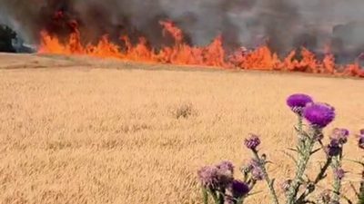 Susurluk ile Bandırma ilçeleri arasındaki kara yolunda yol kenarında bulunan