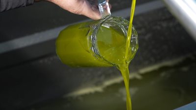 Yaz aylarının vazgeçilmezi olan zeytinyağı, diyet programlarında da önemli bir