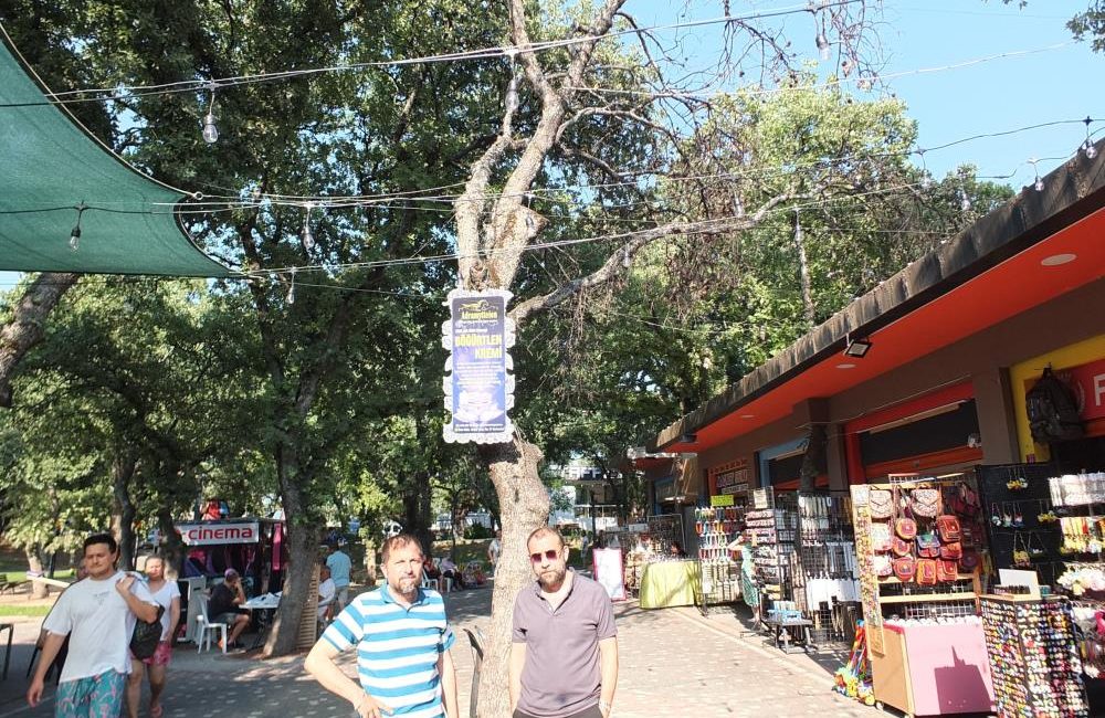 Burhaniye’ de kuruyan ağaçlar tehlike saçıyor Burhaniye’de turistik Ören mahallesinde kuruyan ağaçlar tehlike saçıyor. Ören takı