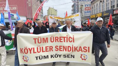 Tüm Üretici Köylüler Sendikası (TÜM KÖY SEN), Mudanya’da yeni bir
