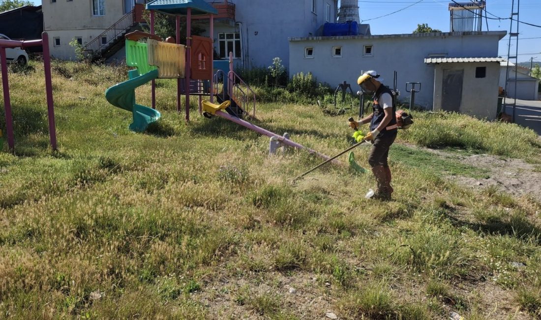 Susurluk Belediyesi tarafından ilçe genelinde bakım, onarım ve çevre düzenleme