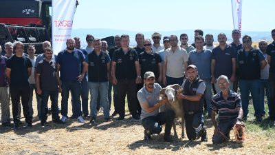 Bandırma Koyunculuk ve Araştırma Enstitüsü’nde arpa ve buğday hasadı başladı.