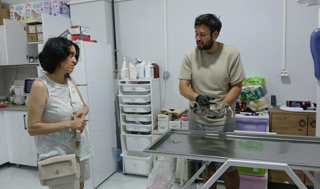 MARTI İÇİN SEFERBER OLDULAR Erdem ÖZCAN Erdek’de yaz tatilini geçirmekte olan Sibel Akbıyık sokakta