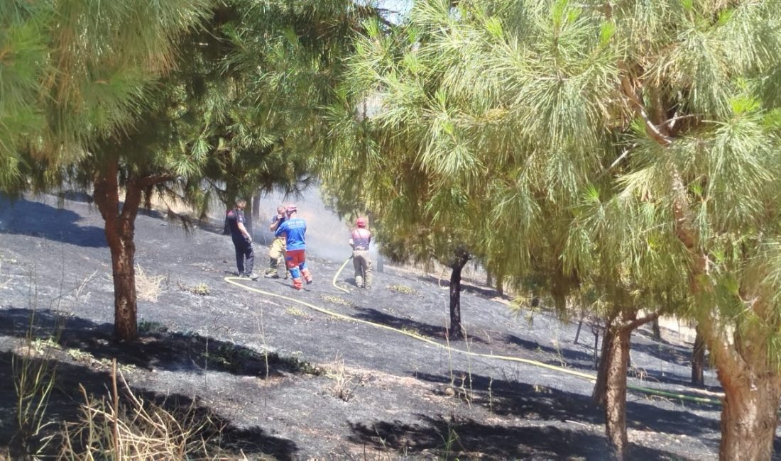 911 Arama ve Kurtarma Derneği ekipleri, İzmir’in Buca ilçesinde meydana