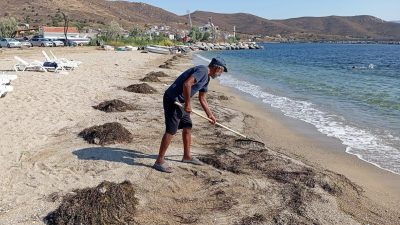 Marmara Adalar Belediyesi, yaz sezonu öncesinde çevre düzenlemesi, kumsal temizliği