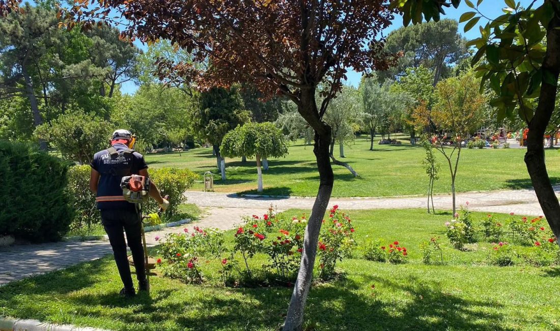 Susurluk’ta park ve bahçelere yaz bakımı Susurluk Belediyesi tarafından ilçe genelinde kapsamlı temizlik çalışması yapılarak çöpler