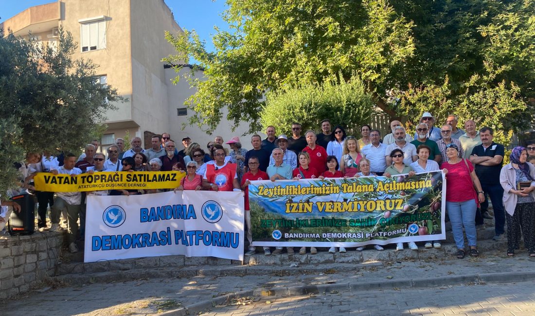 Bandırma Demokrasi Platformu, zeytinlik alanların madencilik faaliyetlerine açılmasını öngören torba
