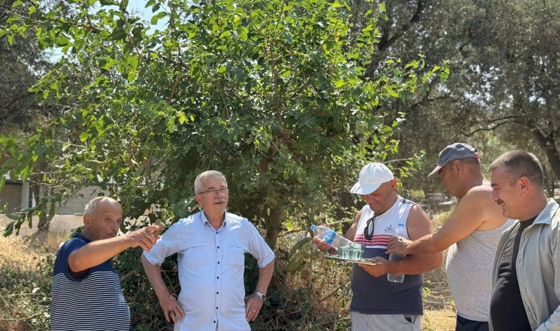 Marmara Adalar Belediye Başkanı Aydın Dinçer, Abroz Mahallesi’nde esnafları ziyaret